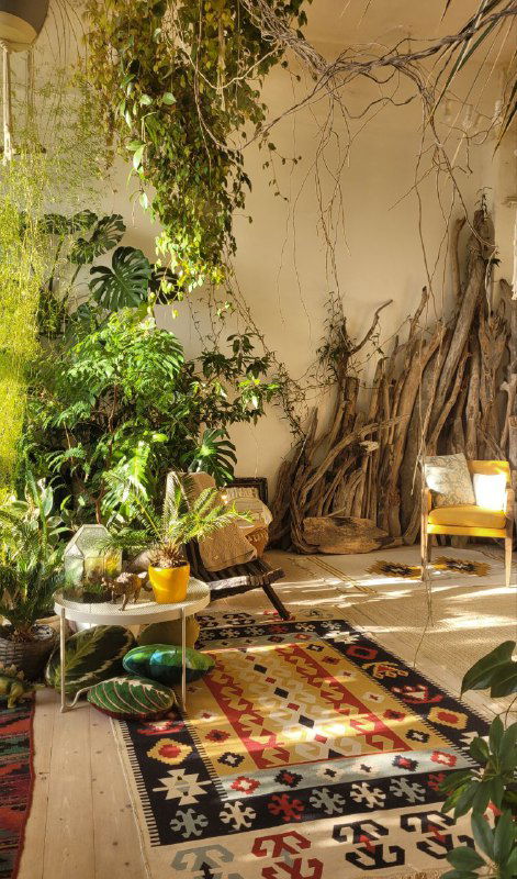 Уютная фотозона с ковром, подушками и подвешенными растениями: солнечный уголок в интерьере тропического пространства в Петербурге.
