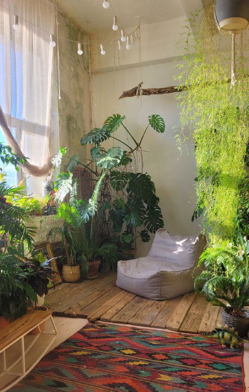 Светлый угол с большими монстерой и мягким креслом-бин-бэгом: место для чтения среди растений в Про.Антас.