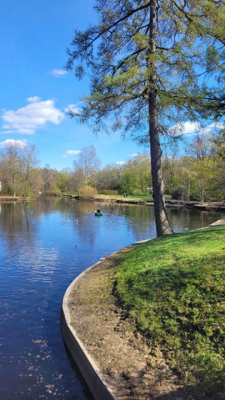 В красоте и есть смысл