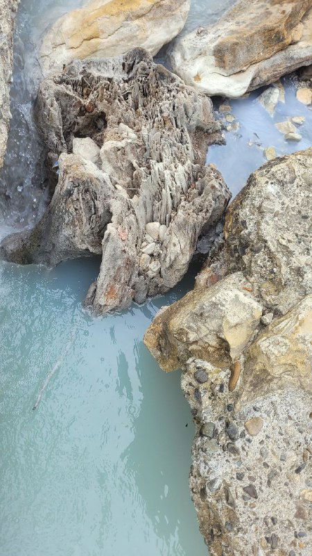 Вода цвета холодного молока в узком каньоне, вид сверху на скалы и бирюзовые лужи у корней деревьев рядом с источником Мацеста