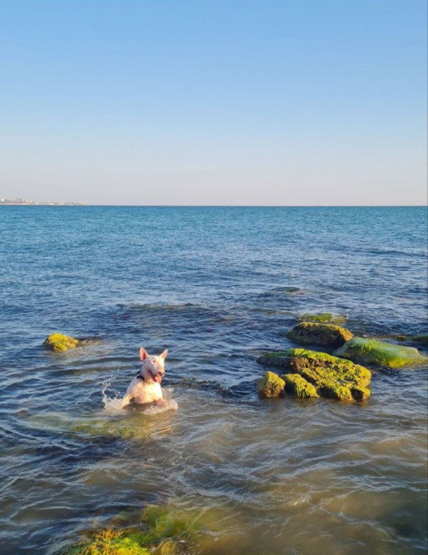 Портрет ЦА: главное из комментариев