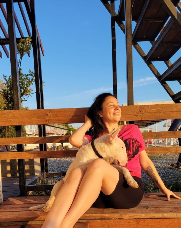 Точка выхода: когда бросать проект и лимиты