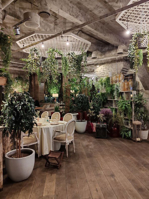 Я ем мох. Ресторан Терраса в Мурманске