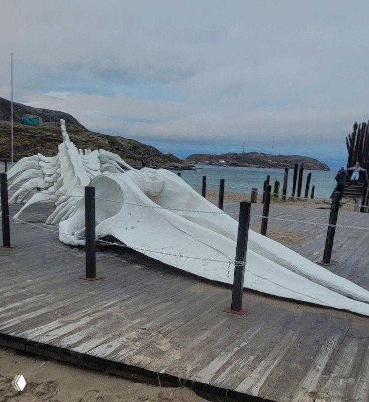 Скелет кита-арт на настиле у воды в Териберке, фото крупным планом торса и рострума скелета, берег и море вдалеке.