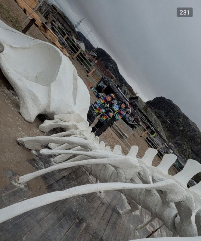 Длинная белая конструкция-скелет вдоль пляжа, туристы рядом для масштаба; снимок показывает позвоночник и рёбра инсталляции.