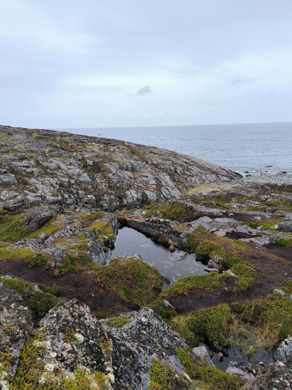 Звонок из Арктики в Антарктиду