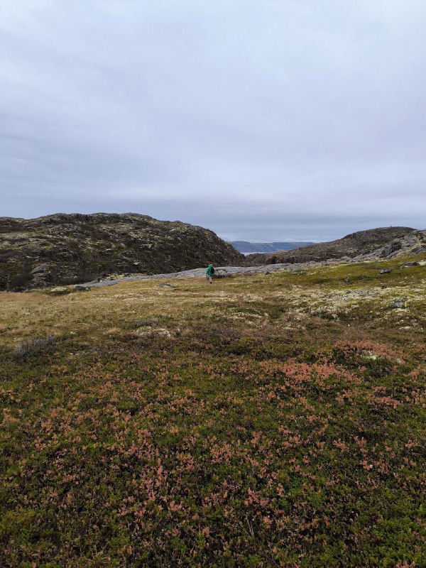 Широкий план осенней тундры: разноцветная низкорослая растительность, рельеф холмов и человек вдалеке, подчёркивающий масштабы природы.