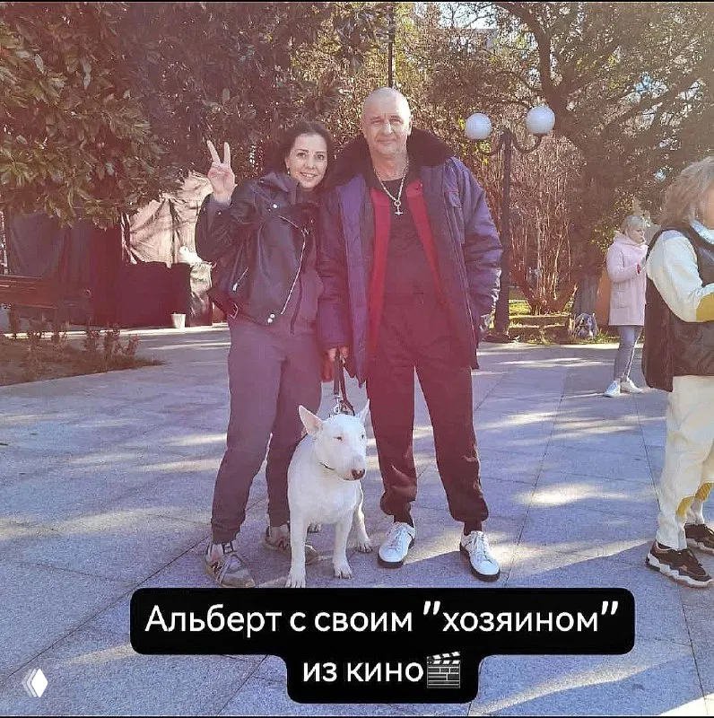 Белый бультерьер рядом с человеком на улице; фотография с надписью внизу про участие животного в кино, видны прохожие и деревья.