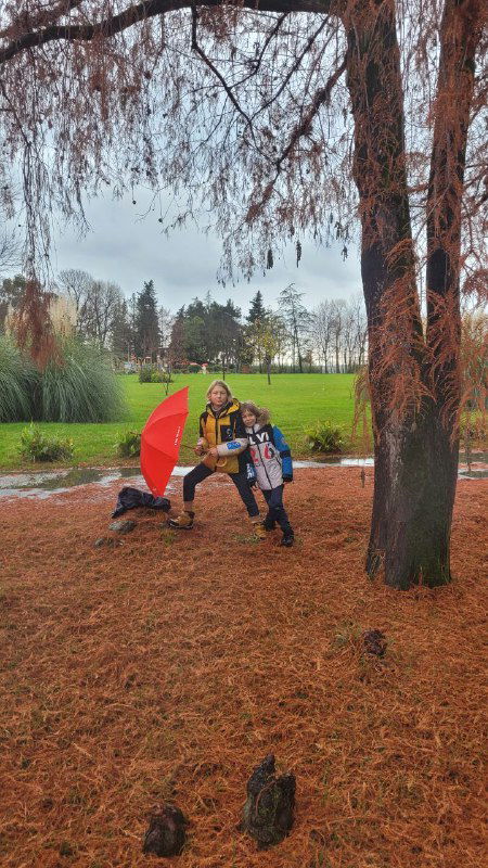 Декабрь в Сочи: почему здесь нет зимы