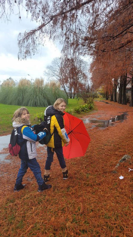 Дети с рюкзаками и взрослая женщина шагают по мокрой аллее в Сочи: красный зонт контрастирует с коричневыми иголками и зелёным газоном вокруг.