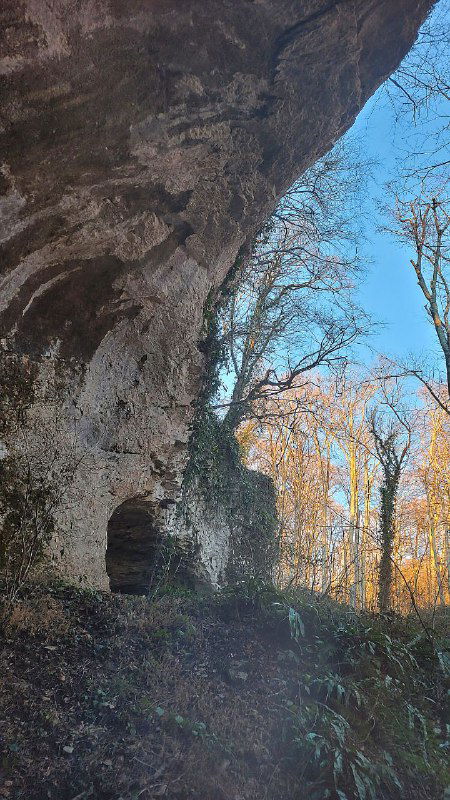 Панорамный вид на скалистый уступ и небо над ним: карстовые образования, деревья и светлое небо в верхней части кадра.