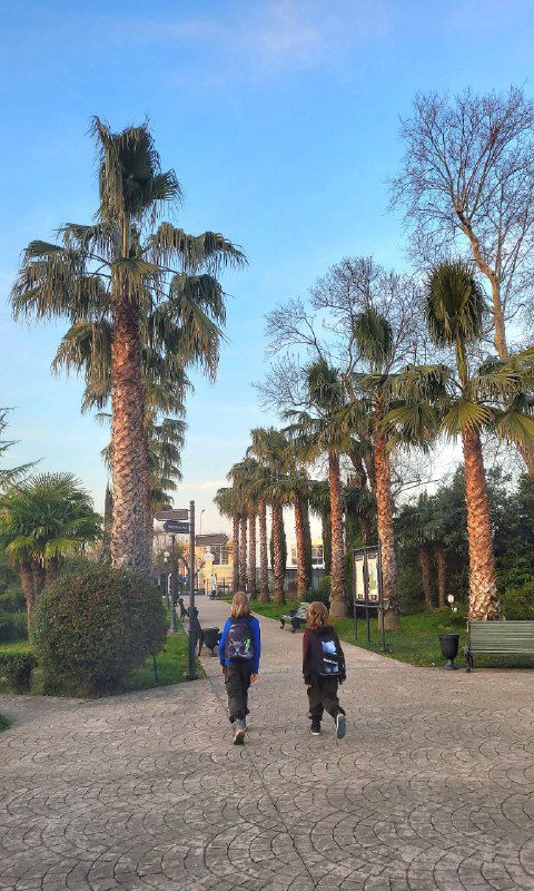 Аллея с рядами пальм и людьми на дорожке вдалеке; сцена выглядит тёплой и спокойной, с голубым небом и редкой городской архитектурой за деревьями.