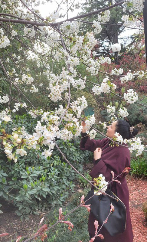 Я меломан: мой список любимых групп