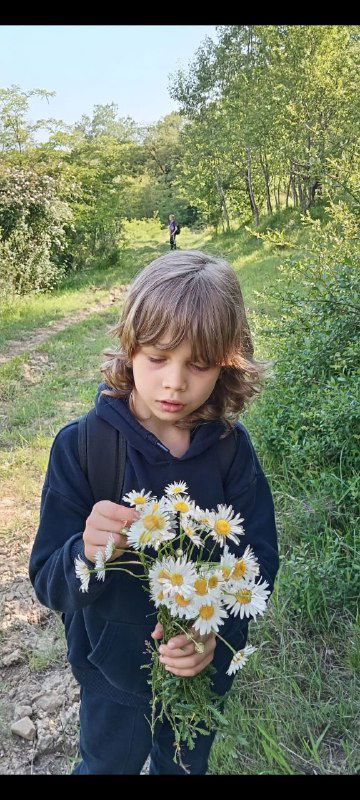 Мальчик держит букет ромашек на летней тропинке; зелёные кусты и деревья вокруг, естественный дневной свет, кадр в рост.