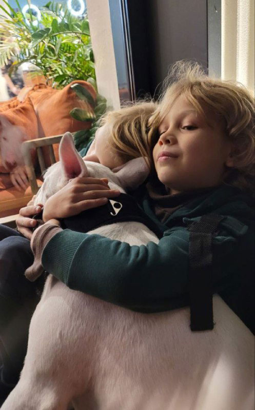 Ребёнок обнимает домашнюю собаку у окна; тёплый семейный интерьер, мягкое освещение и близкая эмоциональная сцена с домашним питомцем.