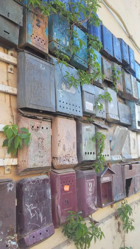 Как не проебать охваты и клиентов в эти праздники