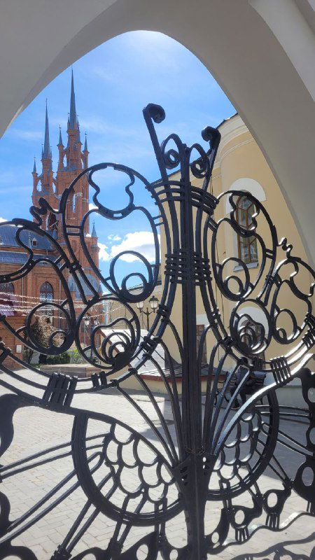 Я была у ветеринара — у меня нашли демодекоз