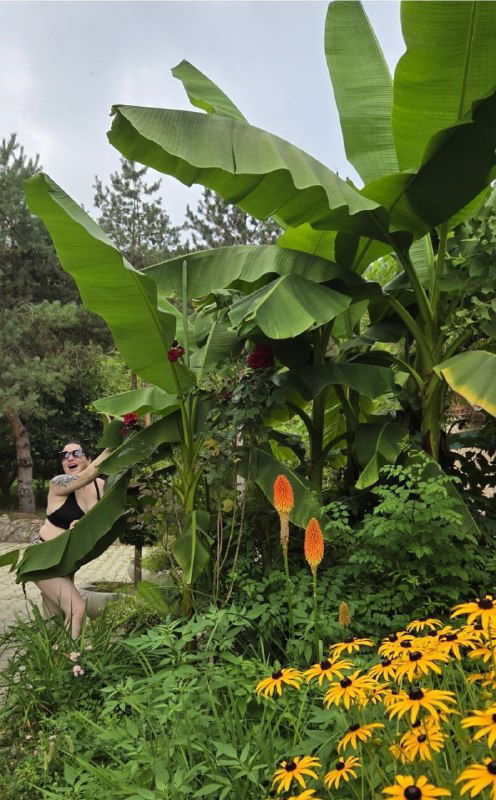 Пальмовые и банановые растения у дорожки на территории базы отдыха, яркие цветы и часть строения на заднем плане.