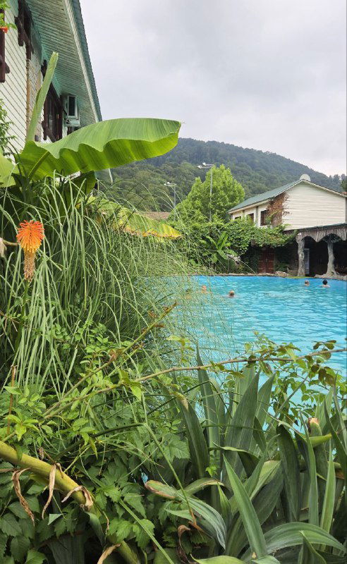 Кадр с бассейном и зеленью: тропические растения на переднем плане, бирюзовая вода и здания базы на фоне гор.