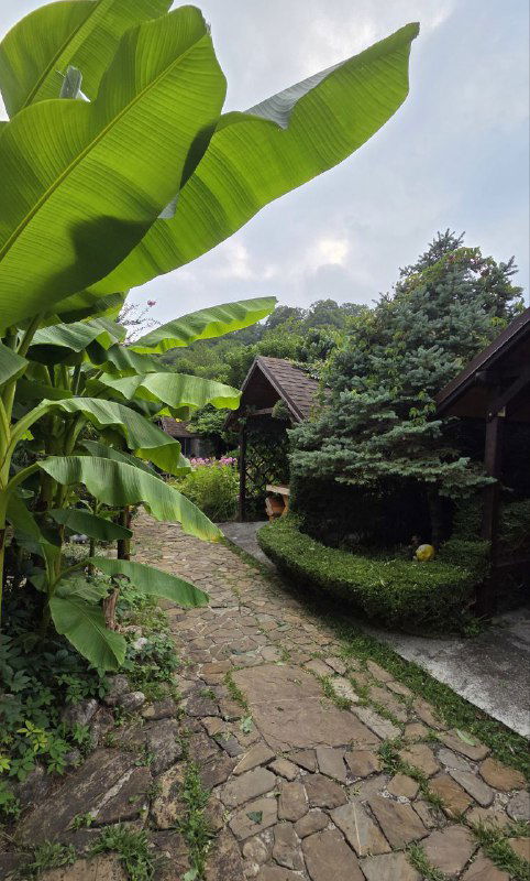 Каменная дорожка среди кустов и банановых растений, маленькие домики базы отдыха частично видны за растительностью.