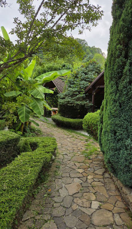 Ещё одна аллея базы отдыха с аккуратными кустами, хвойными растениями и тропическими листьями на фоне гор.