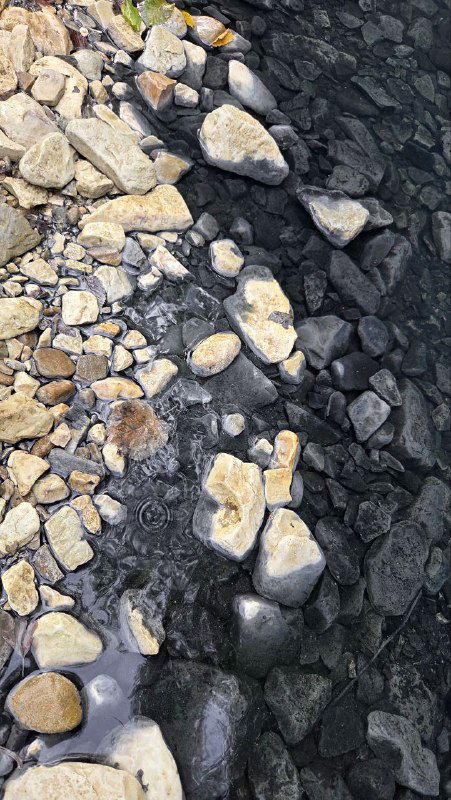 Крупный план камней и прибрежного ила Мацесты: светлые валуны соседствуют с тёмными залежами грязи и минералов у кромки воды.
