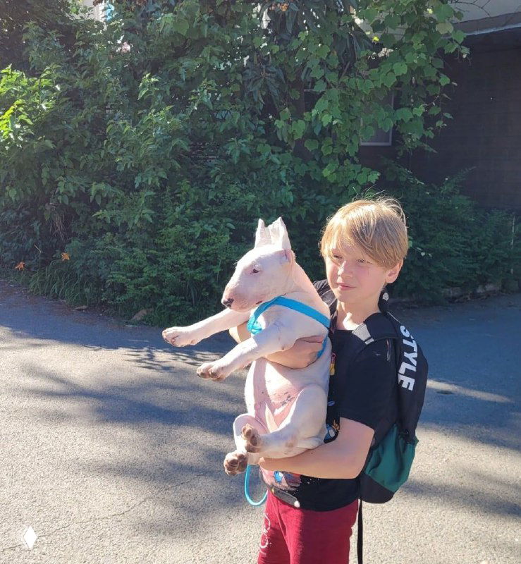 Берт похож на Рудольфа, а Гера - на Серафима?