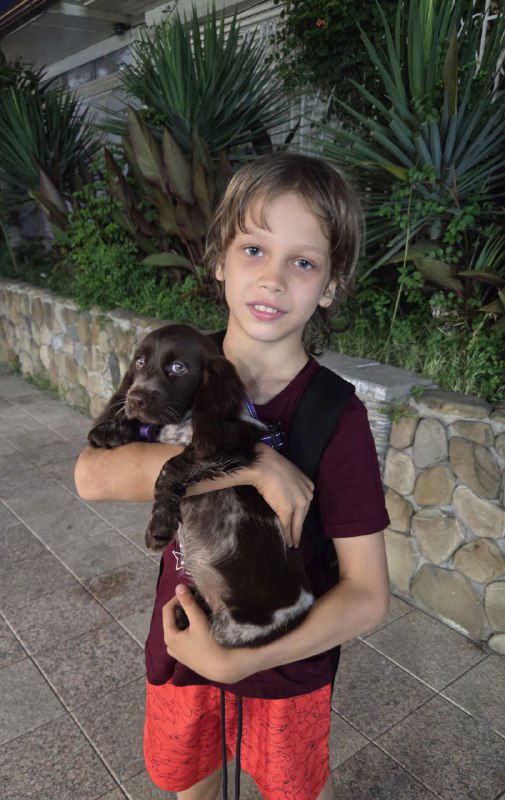 Ребёнок держит тёмно-коричневого щенка на фоне каменной стены и экзотических растений; портретная композиция с тёплым освещением, видно выражение мордочки.