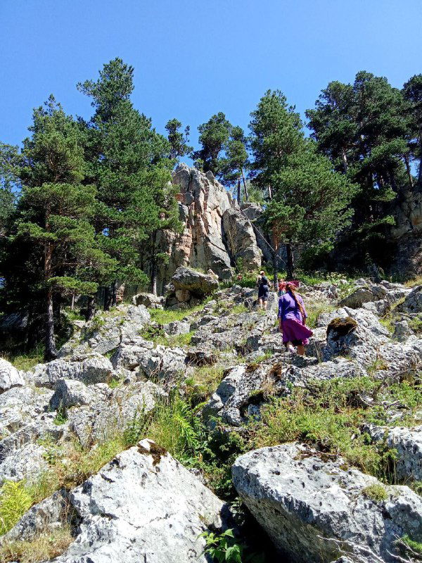 Женщина поднимается по скалистому склону среди соснового леса в горах Адыгеи — виден каменистый рельеф и зелёные участки вокруг для скалолазания.