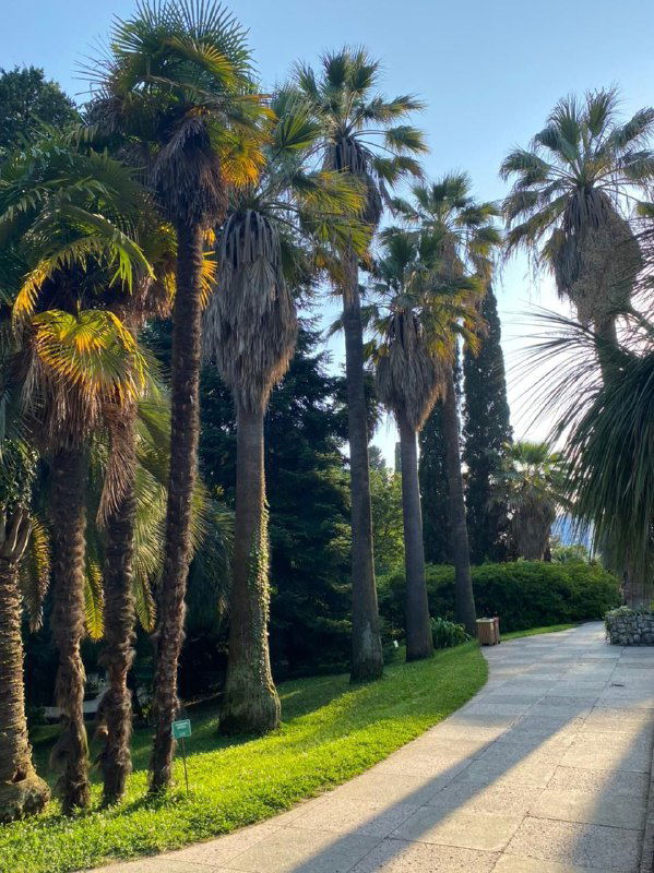 Когда продукт не в приоритете клиента