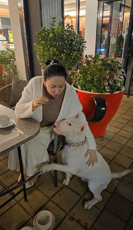 Женщина кормит или гладит крупную белую собаку у стола в кафе; на переднем плане чашка и сумка, фон с растениями и светом.