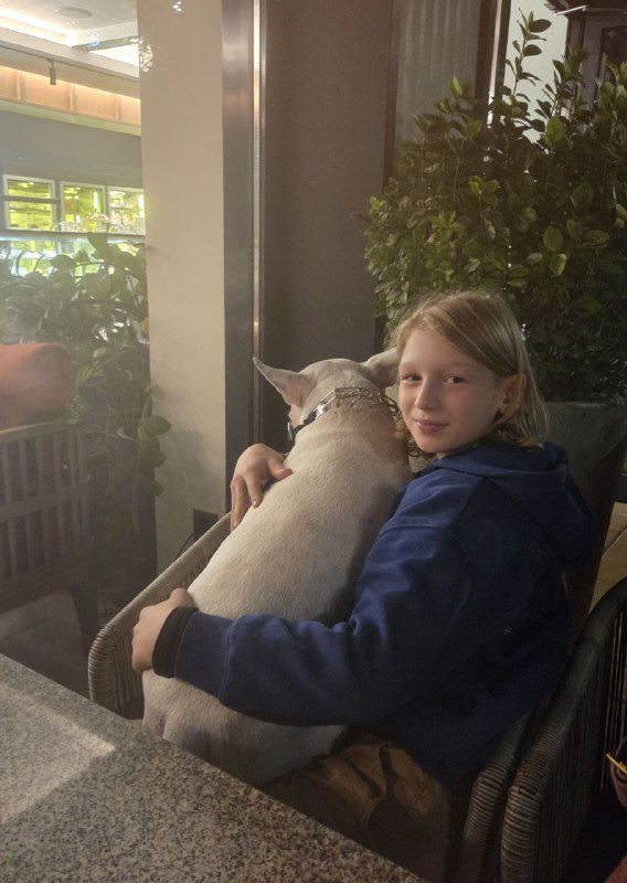 Ребёнок в тёмно-синей толстовке держит на руках среднюю белую собаку в кресле кафе; вокруг приватная уличная атмосфера вечера.