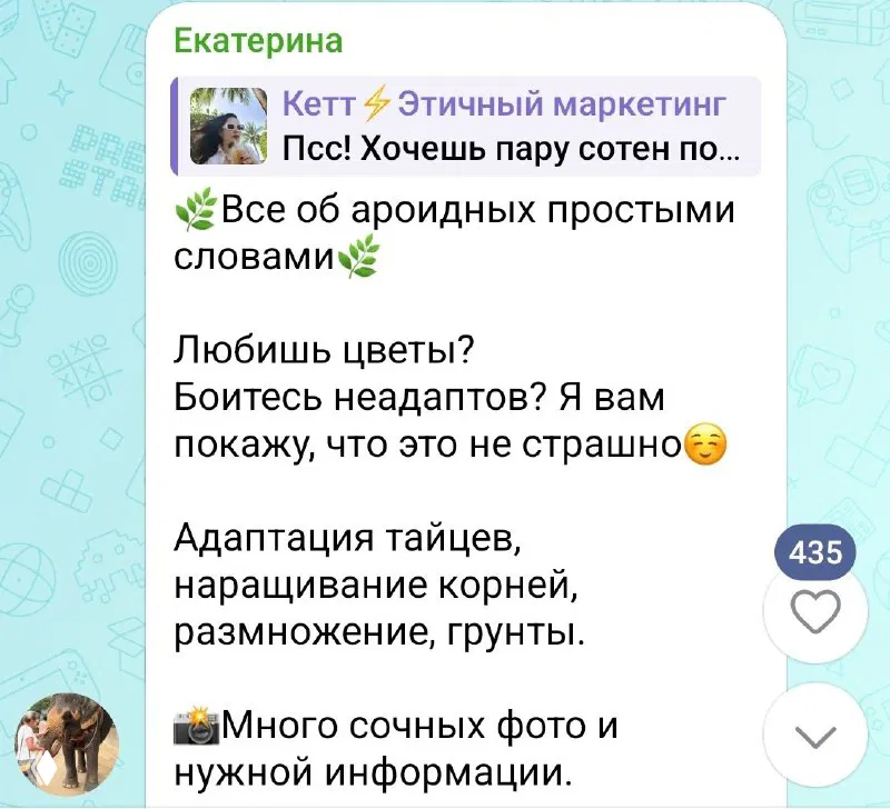 Как не надо: нейминг канала о растениях