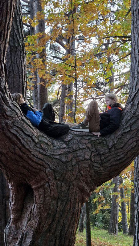 Красивый ноябрь в Сочи