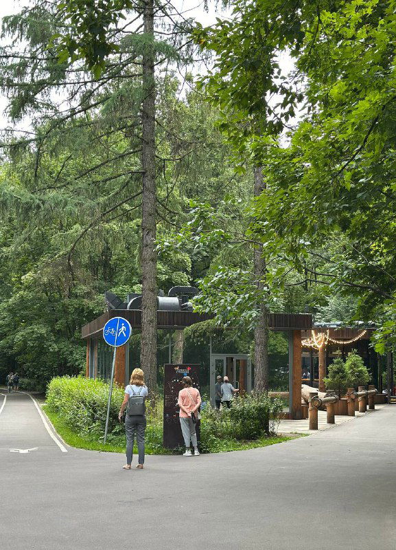 Аллея большого лесопарка напротив комплекса, люди прогуливаются по дорожкам среди деревьев — удобная прогулочная зона после посещения аквапарка.