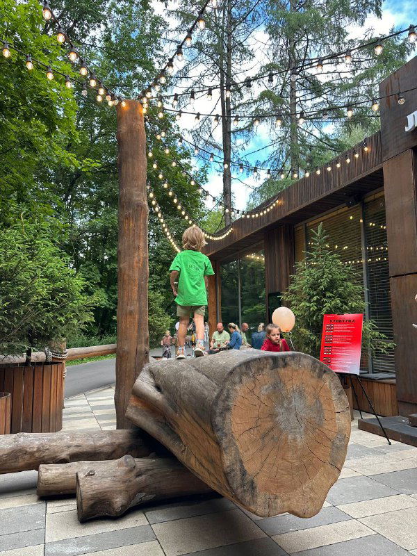 Дети на деревянной игровой структуре у ресторанной зоны на открытом воздухе, видна семейная инфраструктура и безопасные детские площадки.