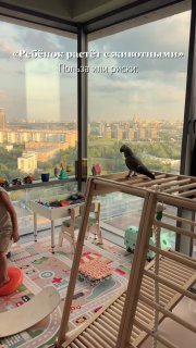 Квартира с панорамным окном, детскими игрушками на полу и попугаем на игровой стенке; сцена показывает ребёнка и питомца в домашней среде.