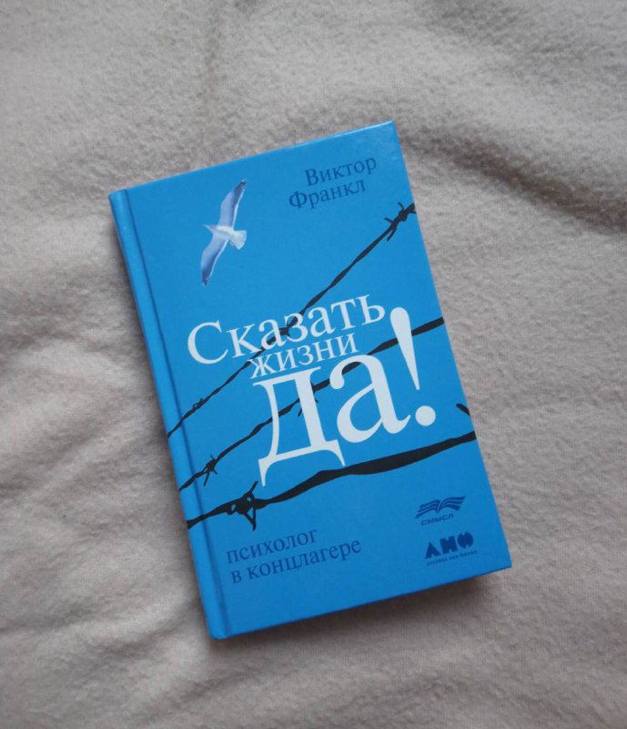 Книги, которые я прочёл в 2024 и мой ТОП