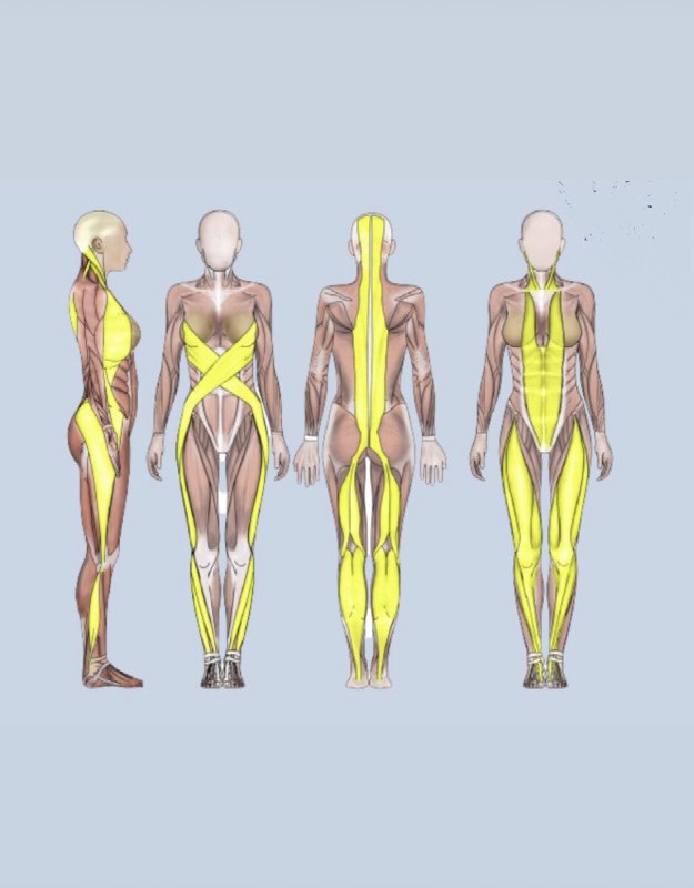 МЫ ВСЕ СОСТОИМ ИЗ ЦЕПЕЙ.