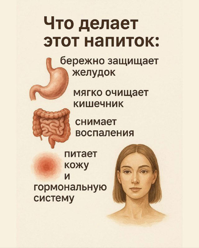 Инфографика: схема пользы напитка из семян льна — защита желудка, мягкое очищение кишечника, питание кожи и гормональной системы.