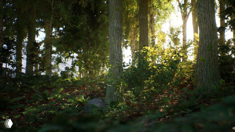 Тёмный лес с пробивающимся солнечным светом и камнем внизу кадра — тихая природная локация из симулятора камня.