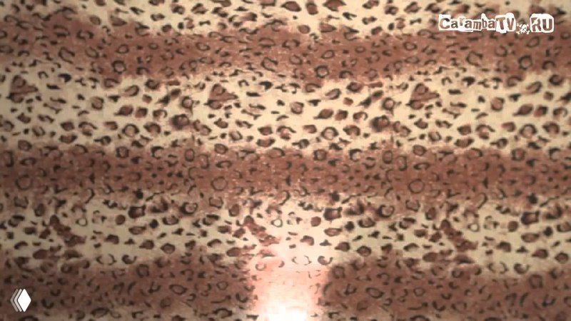 Леопардовый узор крупным планом, текстурированный декоративный фон с животным принтом, броский и выразительный для креативных созвонов.