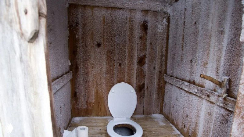 Деревенский туалет с деревянными стенами и унитазом — провокативный и абсурдный фон, который сразу привлекает внимание собеседников.