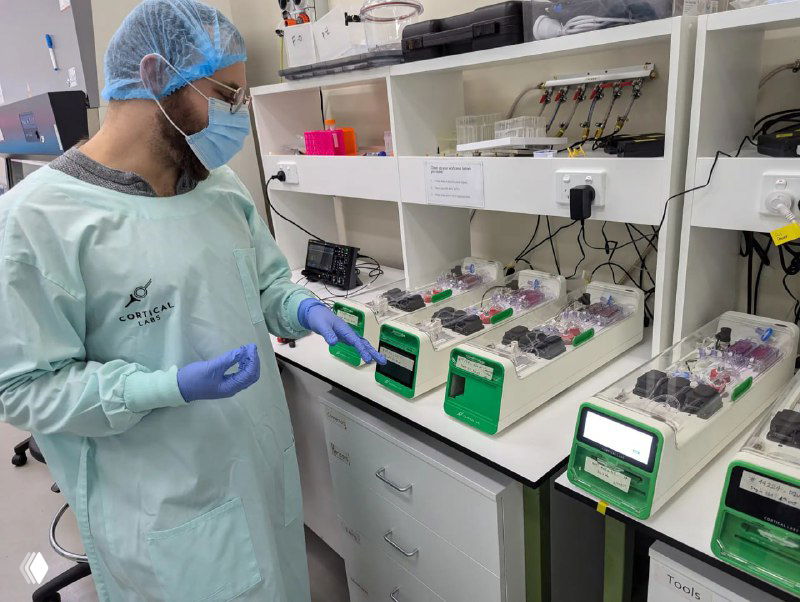 Лаборант в защитной одежде работает с модульными контейнерами и биореакторами CL1 в лабораторной среде, вид оборудования и процедур.