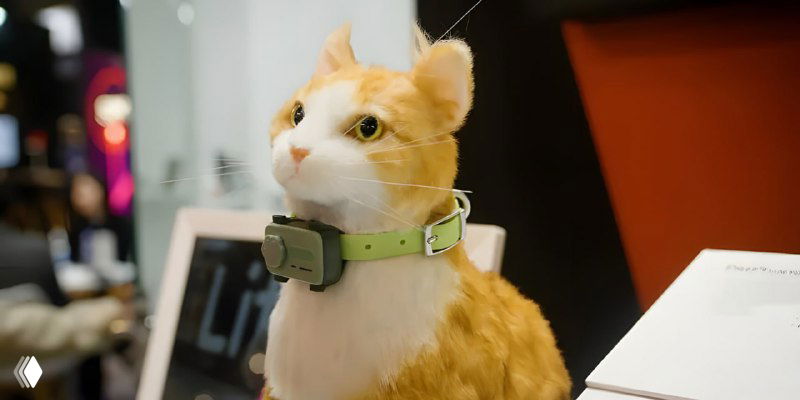 Крупный план: кошка в помещении с устройством на ошейнике GlocalMe — PetPhone на зелёном ремешке, видно модуль и форму.