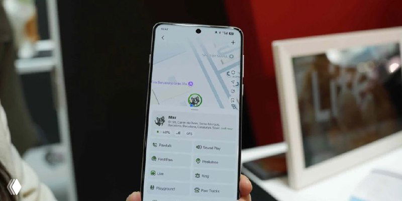 Смартфон с открытым приложением GlocalMe/PetPhone на экране, карта местоположения питомца и данные трекинга в интерфейсе.
