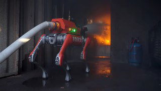 Робопсы заделались в пожарных.