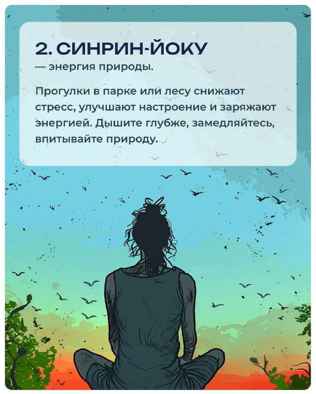 Карточка с пунктом 2 — «Синрин-йоку»: человек в позе медитации смотрит на природу, птицы и лес на фоне, спокойная стилизация.