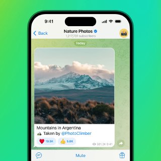 Скрин канала Telegram с постом-галереей: карточка публикации с фотографией природы, статистикой и кнопками реакции на зелёном фоне интерфейса.