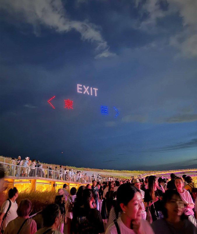 Японцы нашли новое применение дронам